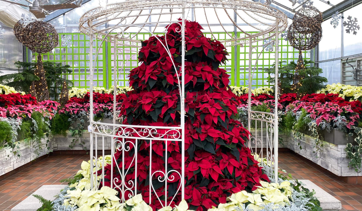 Enter description here