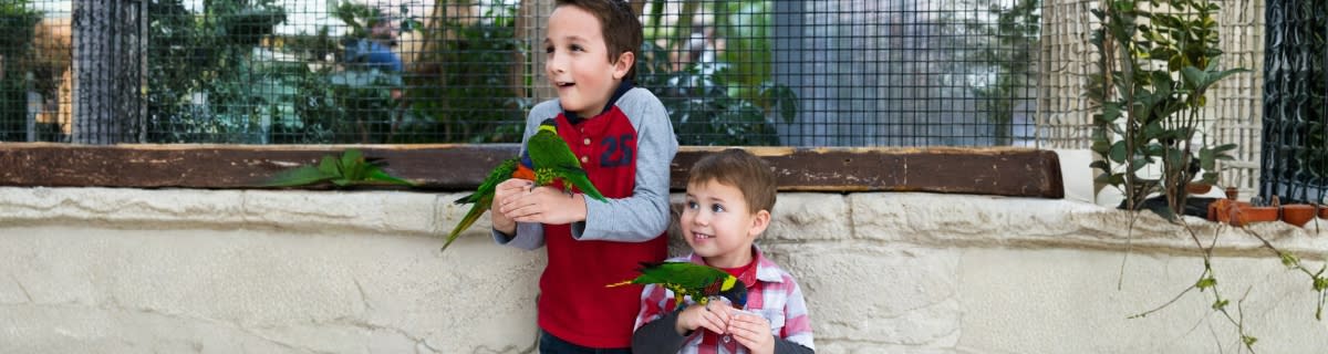 Enter description here