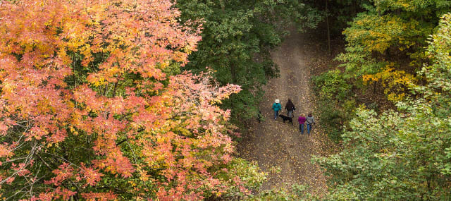 Image of trails near Toronto