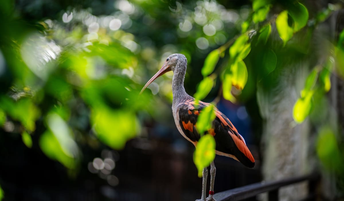 Enter description here