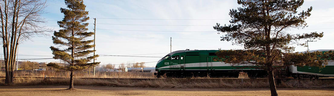 GO Train next to trees.