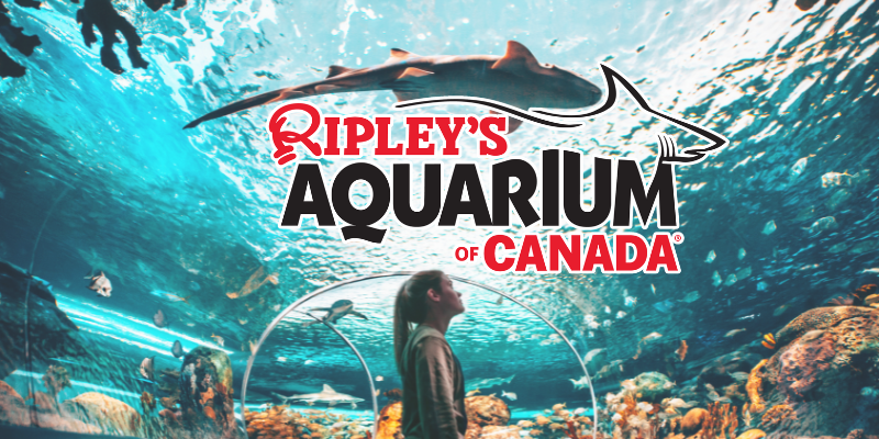 GO to Ripley's Aquarium of Canada | GO Transit